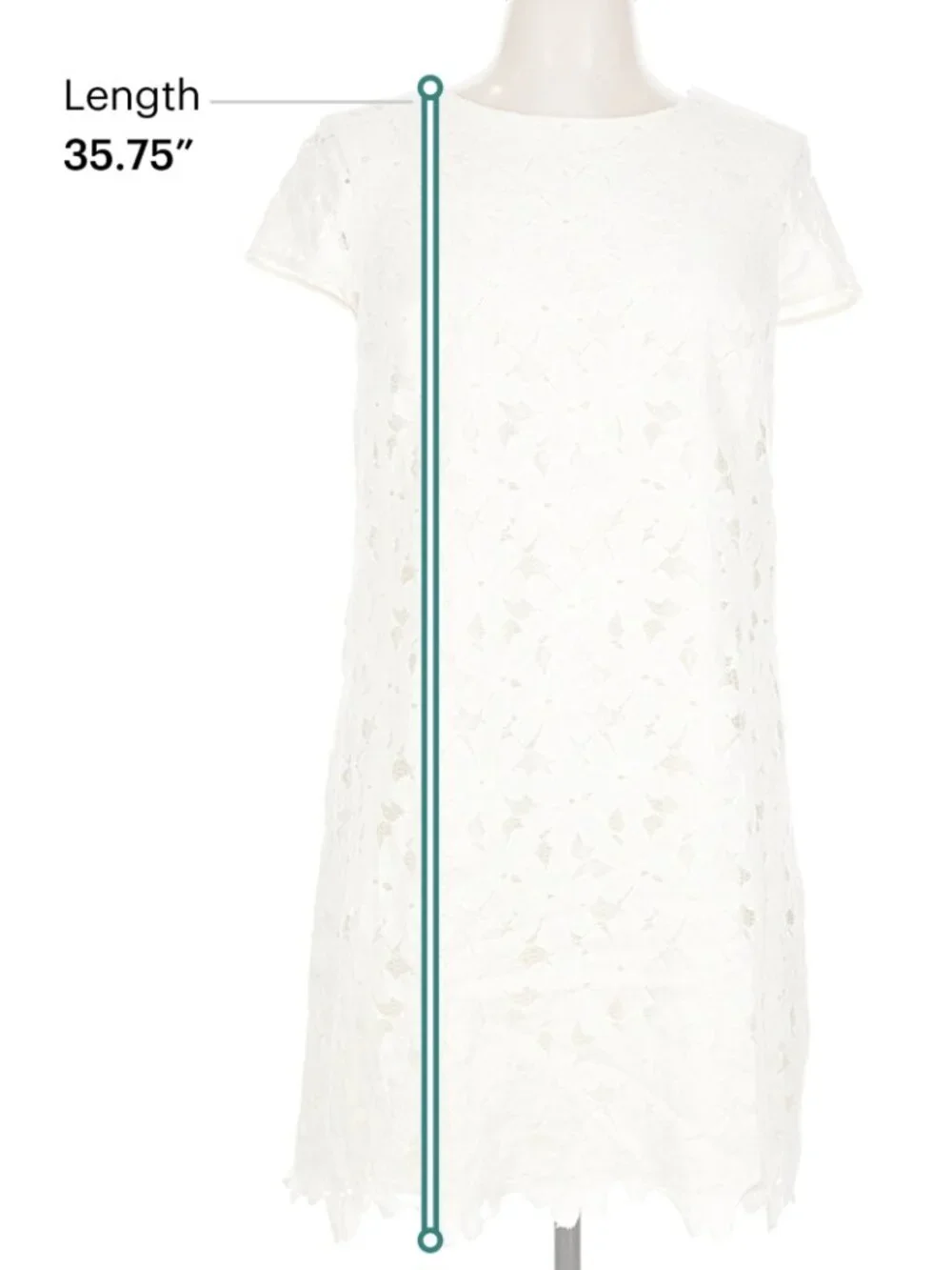 Cynthia Steffe White Lace Shift Dress – Size 12